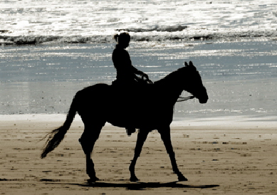 reiten-am-meer02