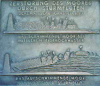 schwimmendesmoor5